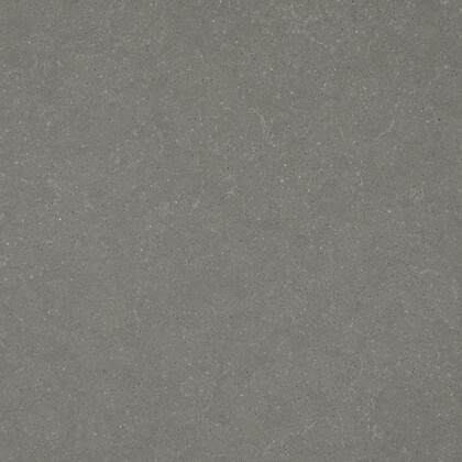 Diresco Belgian Buxy Grey